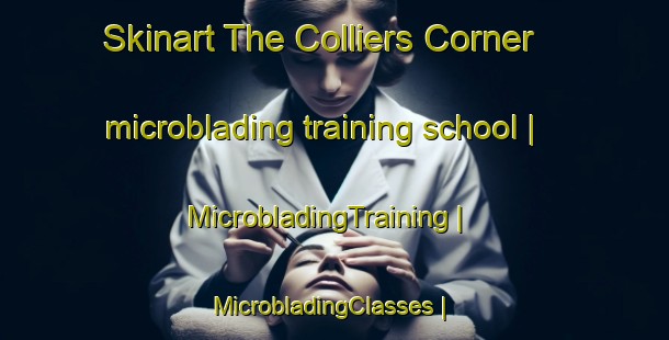 Skinart The Colliers Corner microblading training school | MicrobladingTraining | MicrobladingClasses | SkinartTraining-United States